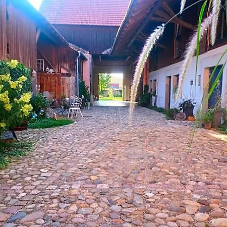 Cote Cour Colmar Отель Andolsheim