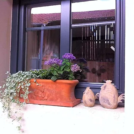 Cote Cour Colmar 3* Andolsheim