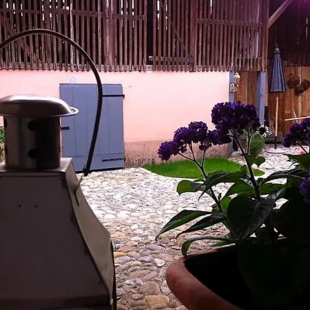 Отель Cote Cour Colmar