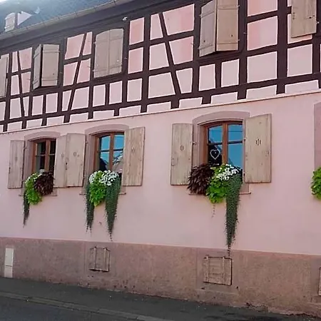 Cote Cour Colmar Отель 3*